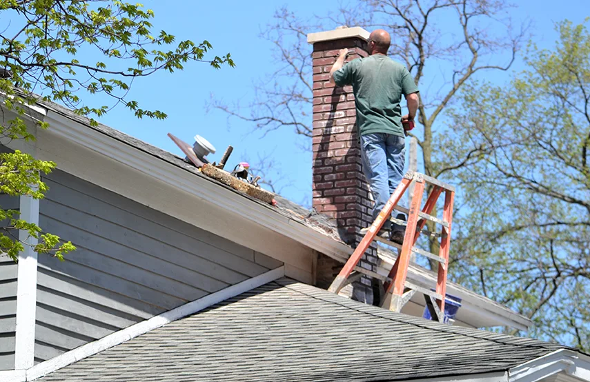 Chimney & Fireplace Inspections Services in Green Valley, AZ
